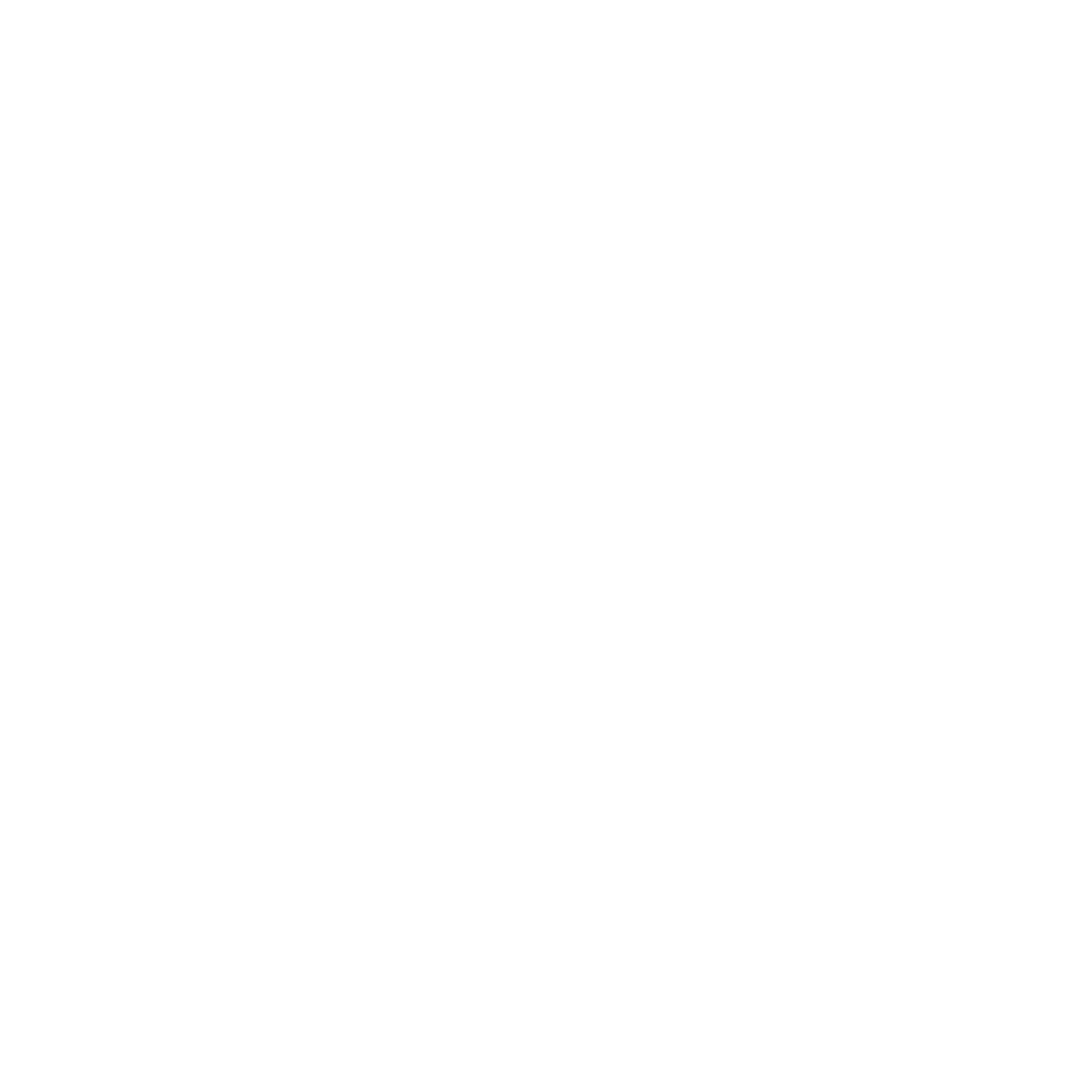 website.png